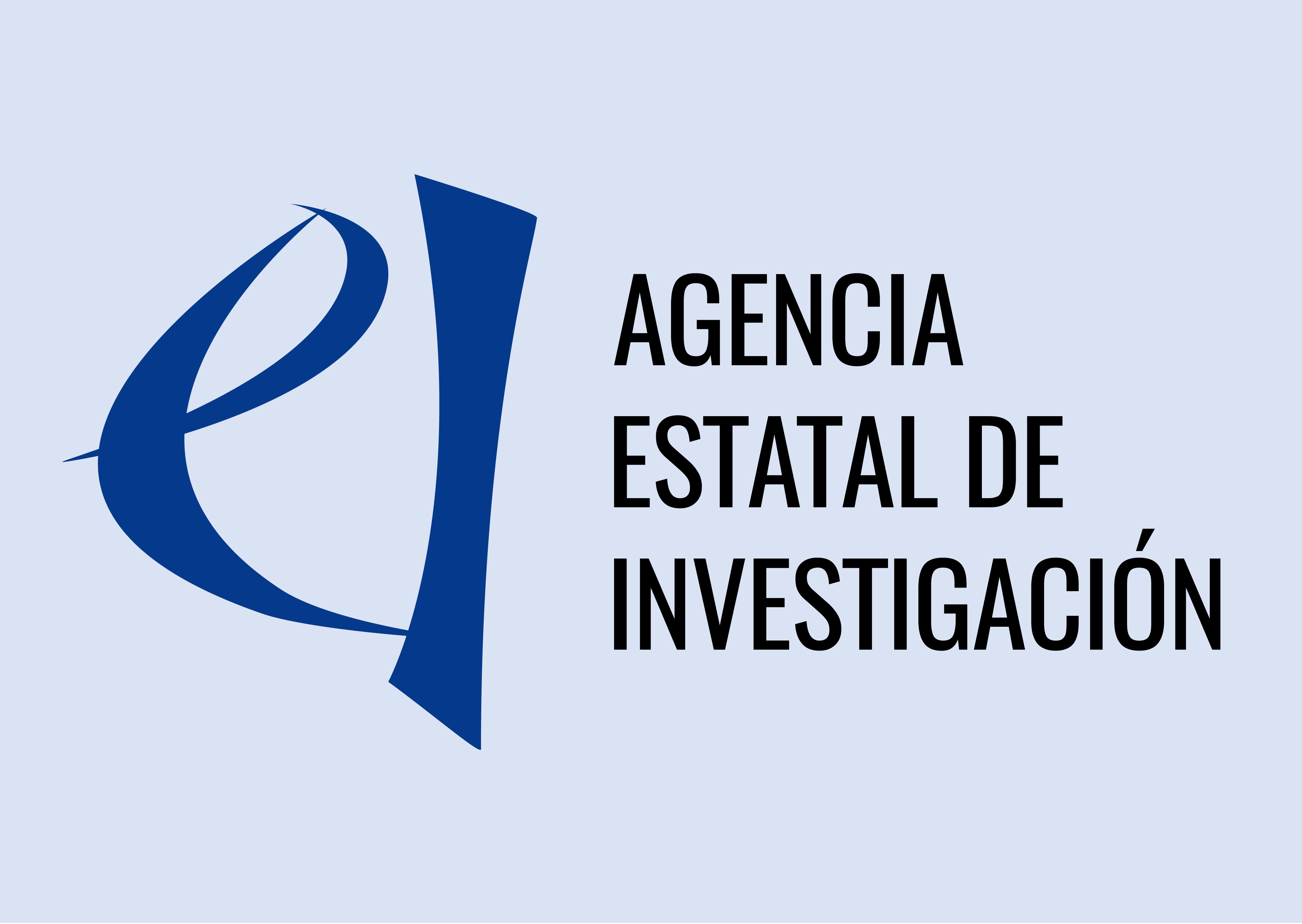 AEI Logo